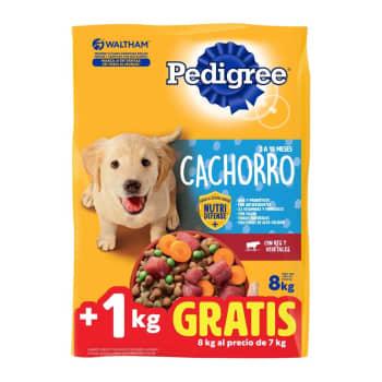Pedigree sam's club hotsell